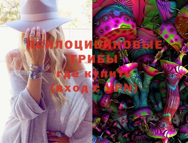 PSILOCYBIN Армянск