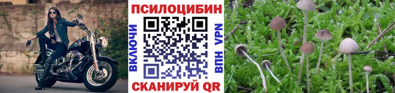 Псилоцибиновые грибы Psilocybine cubensis  Балашов 
